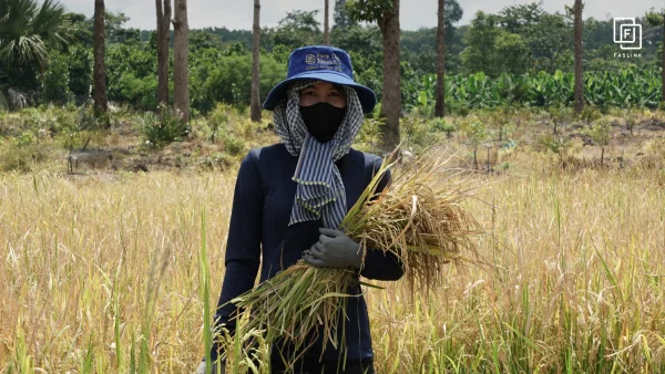 Faslink Carbon Neutral Program (FCNP) – Kỷ Niệm 2 Ngày Thu Hoạch Lúa Đầy Ý Nghĩa!
