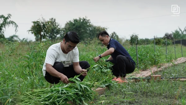 Faslink Carbon Neutral Program (FCNP) – Kỷ Niệm 2 Ngày Thu Hoạch Lúa Đầy Ý Nghĩa!