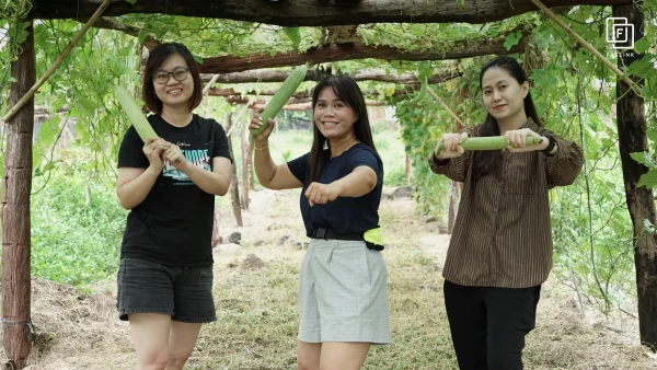 Faslink Carbon Neutral Program (FCNP) – Kỷ Niệm 2 Ngày Thu Hoạch Lúa Đầy Ý Nghĩa!