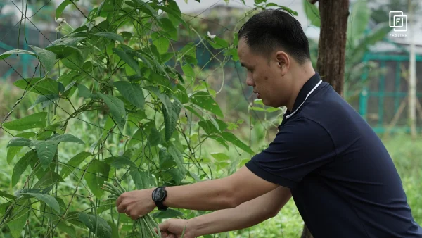 Faslink Carbon Neutral Program (FCNP) – Kỷ Niệm 2 Ngày Thu Hoạch Lúa Đầy Ý Nghĩa! Faslink Carbon Neutral Program (FCNP) – Kỷ Niệm 2 Ngày Thu Hoạch Lúa Đầy Ý Nghĩa!