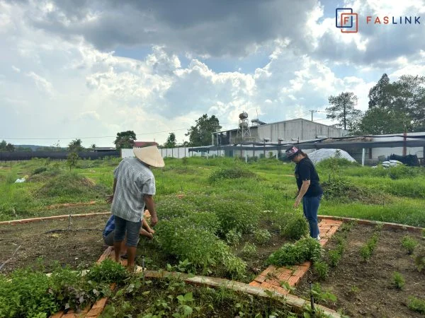 Faslink Carbon Neutral Program (FCNP): Xây Dựng Cộng Đồng & Trung Hòa Carbon Qua Dự Án FarmLink Thanh Sơn Faslink Carbon Neutral Program (FCNP): Xây Dựng Cộng Đồng & Trung Hòa Carbon Qua Dự Án FarmLink Thanh Sơn