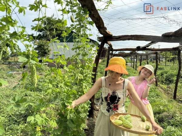 Faslink Carbon Neutral Program (FCNP): Xây Dựng Cộng Đồng & Trung Hòa Carbon Qua Dự Án FarmLink Thanh Sơn Faslink Carbon Neutral Program (FCNP): Xây Dựng Cộng Đồng & Trung Hòa Carbon Qua Dự Án FarmLink Thanh Sơn