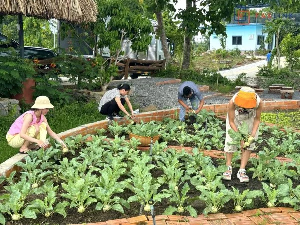 Faslink Carbon Neutral Program (FCNP): Xây Dựng Cộng Đồng & Trung Hòa Carbon Qua Dự Án FarmLink Thanh Sơn Faslink Carbon Neutral Program (FCNP): Xây Dựng Cộng Đồng & Trung Hòa Carbon Qua Dự Án FarmLink Thanh Sơn