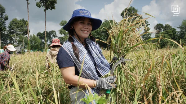 Faslink Carbon Neutral Program (FCNP) – Kỷ Niệm 2 Ngày Thu Hoạch Lúa Đầy Ý Nghĩa!