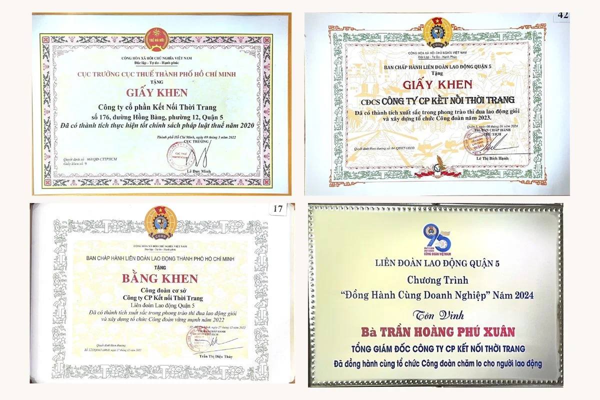 Giải thưởng Faslink được công nhận trong suôt quá trình hoạt động