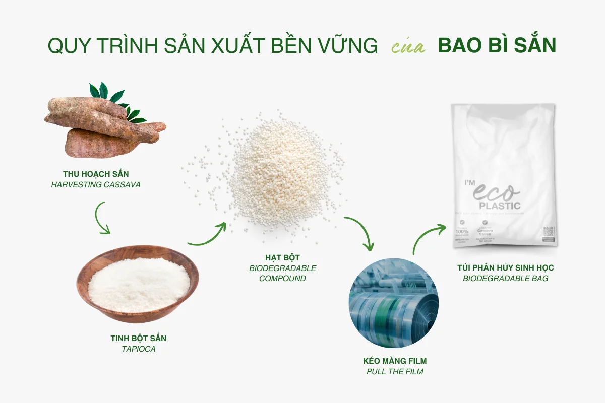 Hành Trình Xanh Từ Nông Sản Địa Phương 