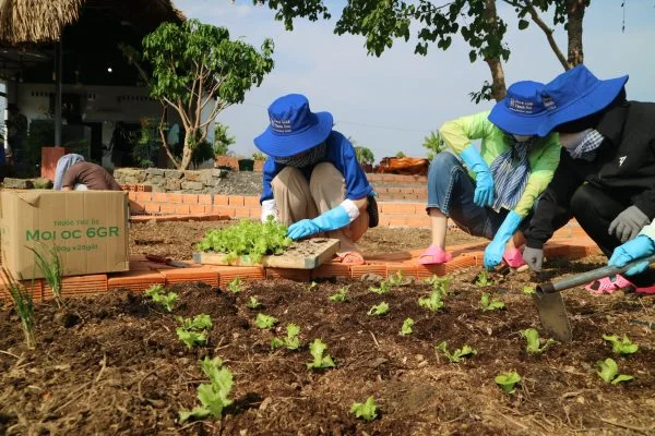 Faslink Carbon Neutral Program (FCNP): Xây Dựng Cộng Đồng & Trung Hòa Carbon Qua Dự Án FarmLink Thanh Sơn