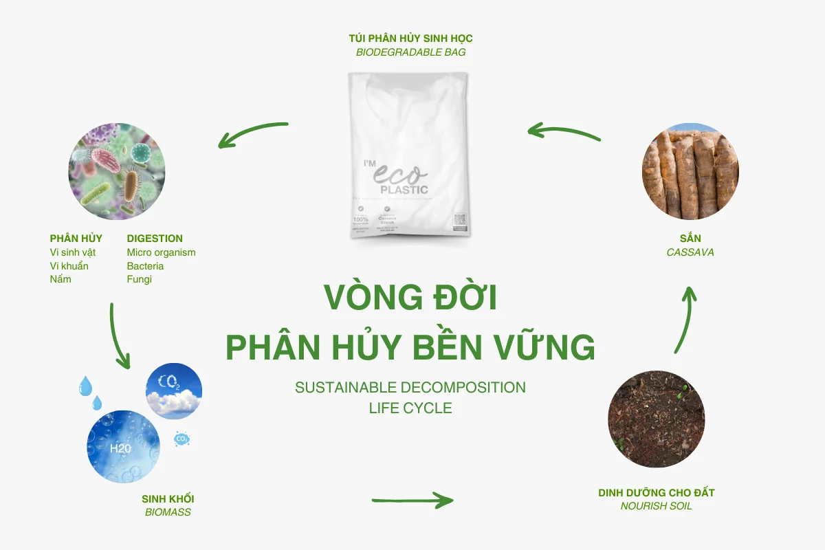Vòng Đời Phân Hủy Hoàn Toàn