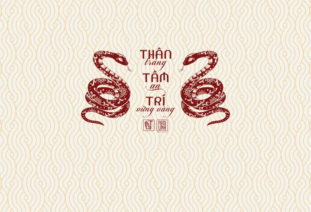 Bộ Quà Tết Faslink 2025: Gửi Trao Sức Khỏe – Đón Tết Sum Vầy