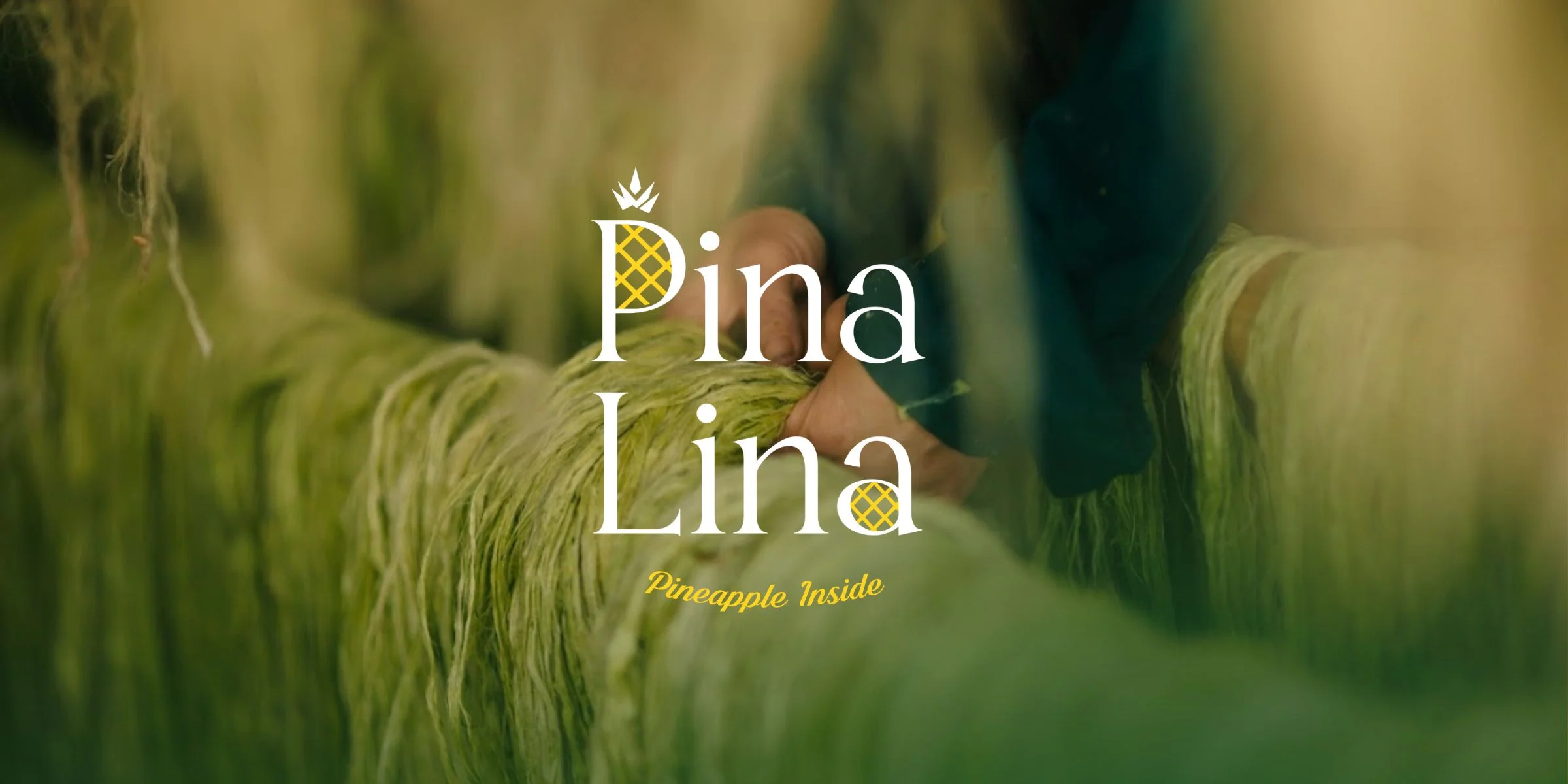 Triển lãm Mặc Triển lãm Mặc "Thơm" và PINALINA