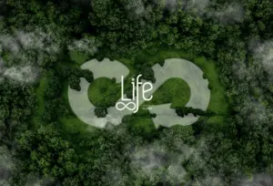 Dự án Second Life, hành trình xử lý tái chế vải tại xưởng may Faslink