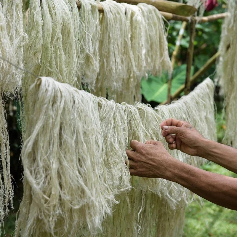Chất liệu vải sợi Dứa Chất liệu vải sợi Dứa